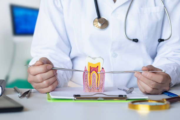 Best Broken or Cracked Tooth Emergency Dentist in Linntown, PA